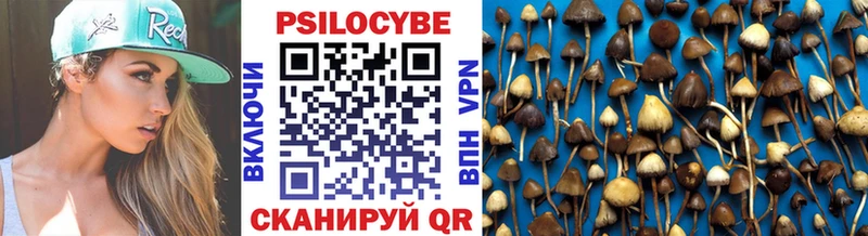 Купить где  Балей  Галлюциногенные грибы GOLDEN TEACHER 